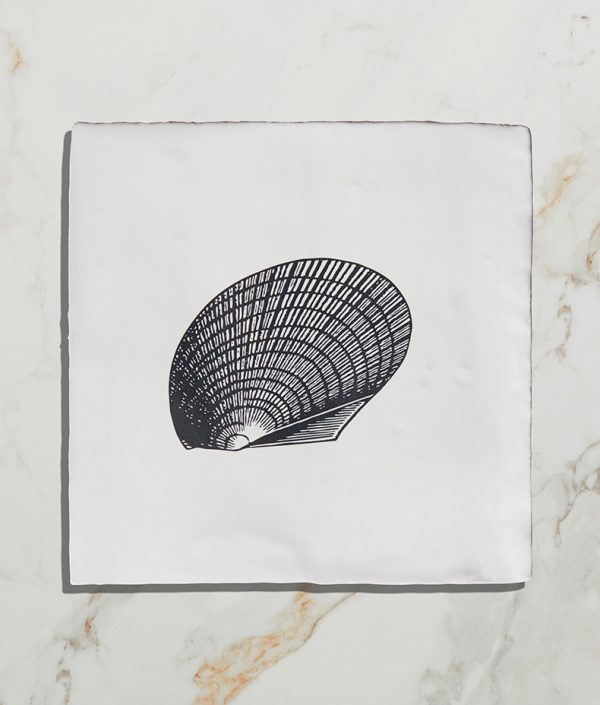 St-Ives-Seashells-Ceramic-Cockle