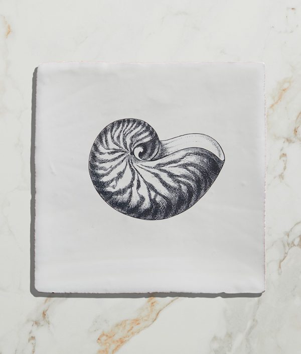 St-Ives-Seashells-Ceramic-Nautilus